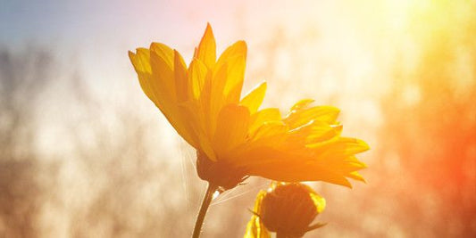 Voordelen van zon(licht) op huid en lichaam